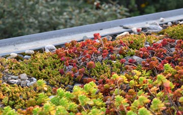 the cost of Frotoft green roof installation