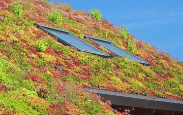 Frotoft living roof systems