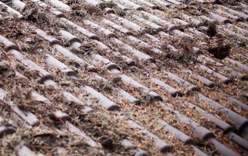 Frotoft roof cleaning companies