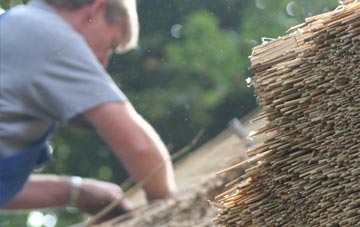 professional Frotoft thatchers