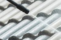 rated Frotoft roof cleaning companies